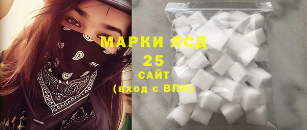 молекула духа Елизово