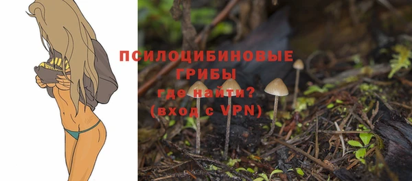 молекула духа Елизово