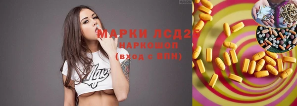 молекула духа Елизово
