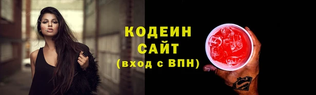 прущие крисы Елабуга