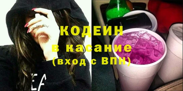 молекула духа Елизово