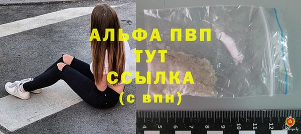 молекула духа Елизово
