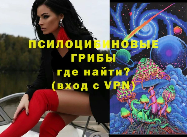 молекула духа Елизово
