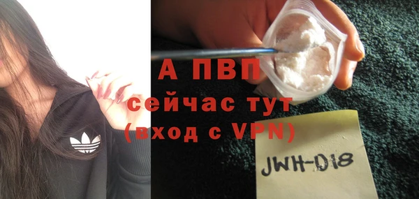 молекула духа Елизово