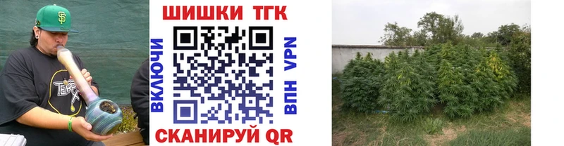 МАРИХУАНА White Widow  Купить закладки  Сухой Лог 